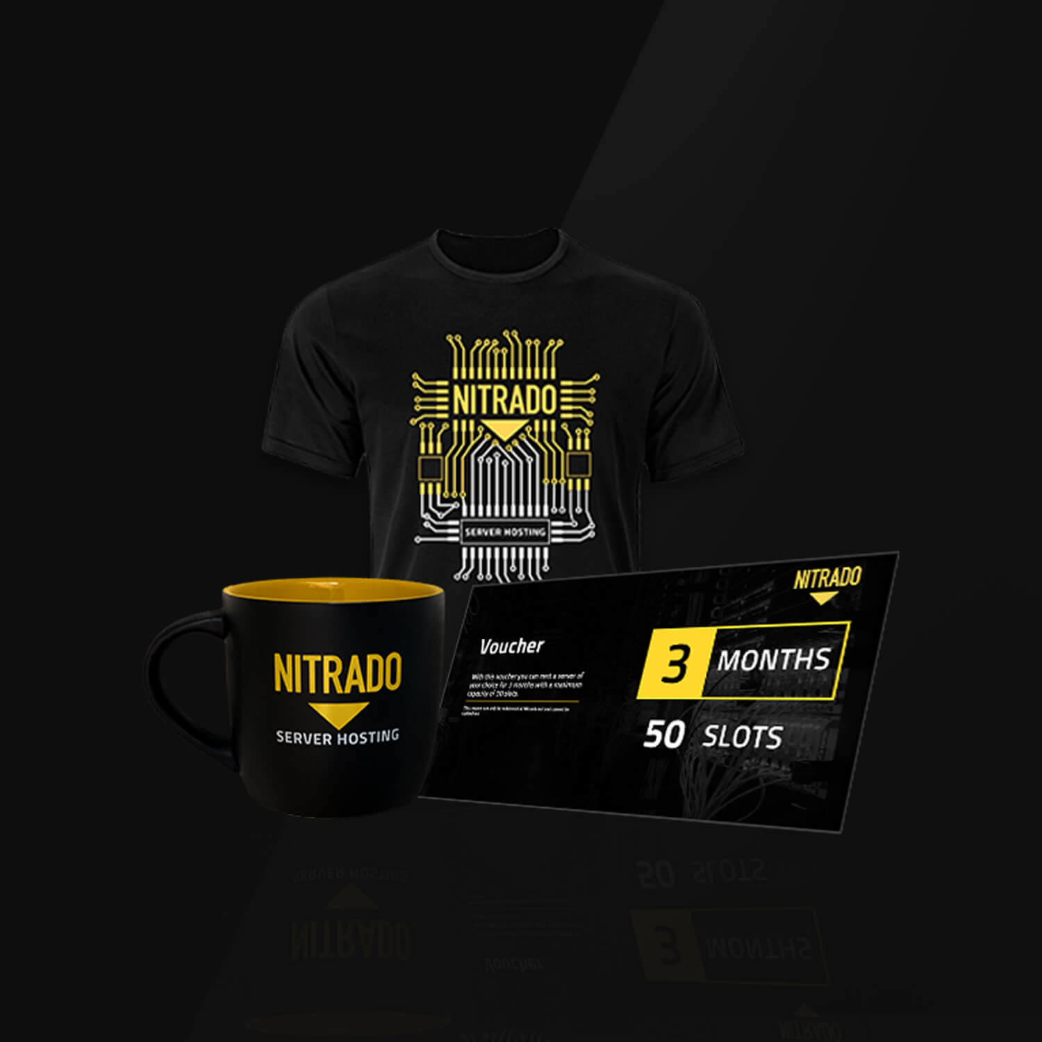 1x Server 50 Slots / 3 Monate + Merch