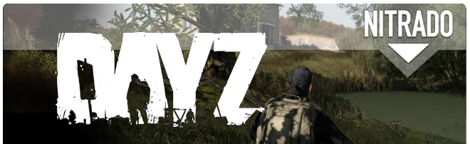 DayZ Server mieten